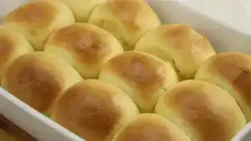 Dinner Rolls