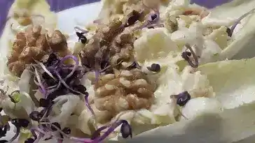 Chicoree - Selleriesalat in Joghurt – Walnussdressing