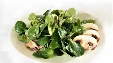 Feldsalat mit Champignons und Meerrettichdressing 4x