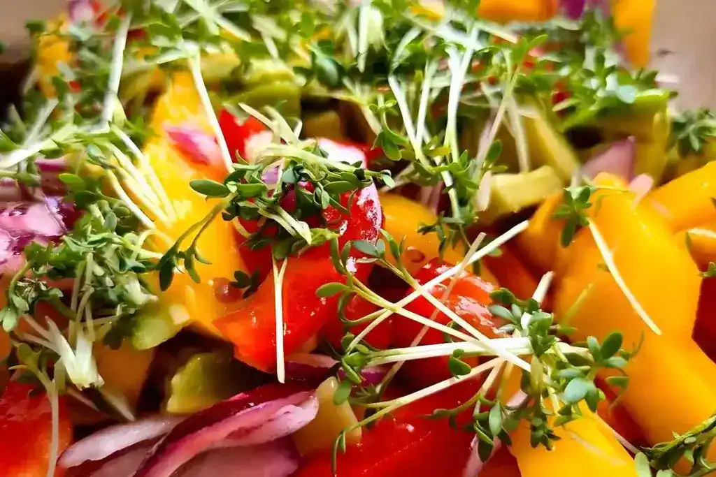 Frischer Mangosalat