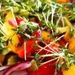 Frischer Mangosalat
