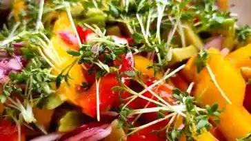 Frischer Mangosalat