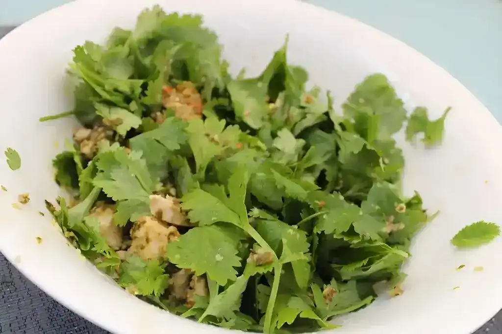 Laab Gai – thailändischer Hähnchen-Salat