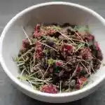 Quinoasalat mit schwarzen Bohnen Rote Beten und Kurbiskernen 4x