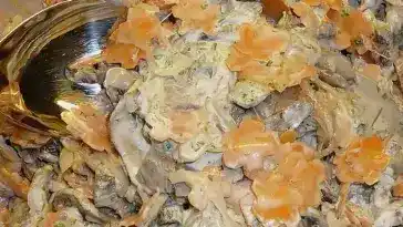 Rindfleischsalat Jagerart 4x
