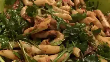 Sylvias Nudel Pesto Salat mit frischem Rucola 4x