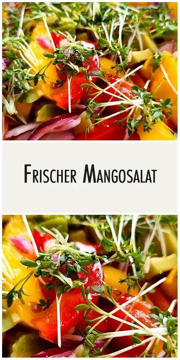 Frischer Mangosalat 1 Frischer Mangosalat