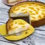 Kasekuchen mit Mandarinen 4x