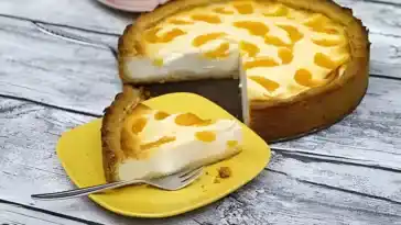 Kasekuchen mit Mandarinen 4x