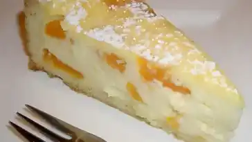 MANDARINEN LECKER SCHMAND PUDDING KUCHEN