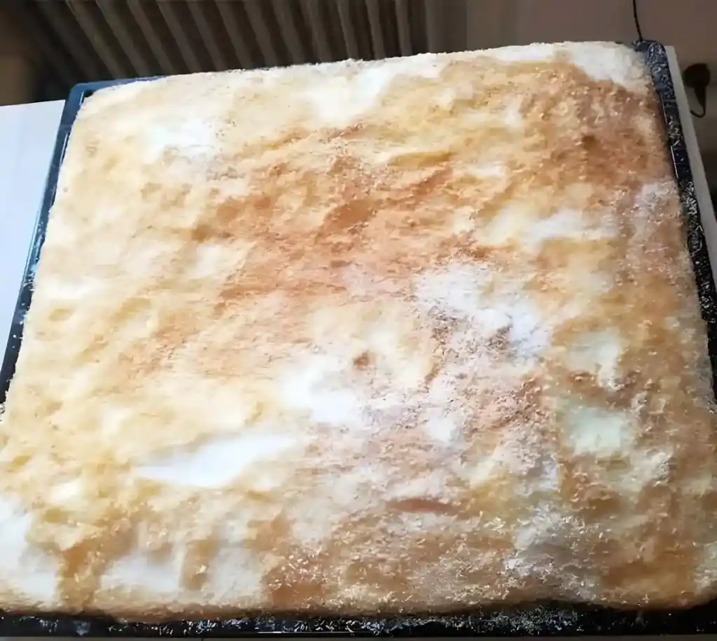 BUTTERMILCH KOKOSKUCHEN, EINFACH UND SEHR LECKER!