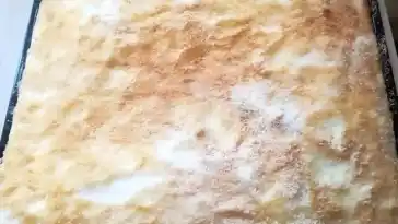 BUTTERMILCH KOKOSKUCHEN, EINFACH UND SEHR LECKER!