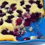 Brombeerfruchtpastete: Eine Leckerei aus frischen Brombeeren