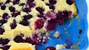 Brombeerfruchtpastete: Eine Leckerei aus frischen Brombeeren