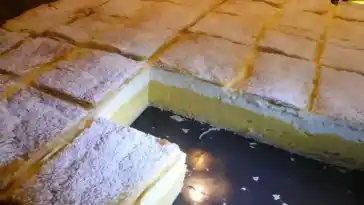 Die schnellsten und besten Cremeschnitten