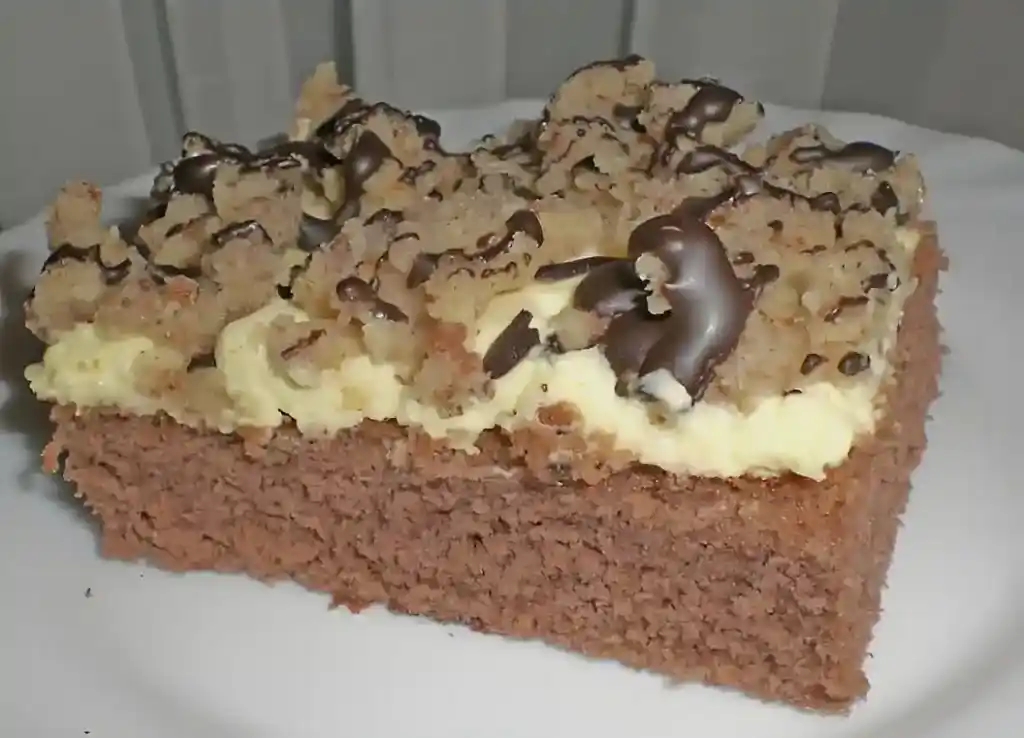 FRISS DICH DUMM KUCHEN MIT VANILLEPUDDING