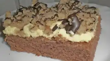 FRISS DICH DUMM KUCHEN MIT VANILLEPUDDING 4x