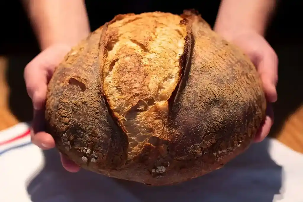 Ich werde Brot nie wieder kaufen, in nur 5 Minuten zubereitet!