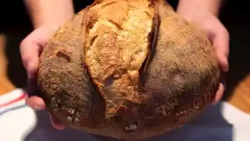 Ich werde Brot nie wieder kaufen, in nur 5 Minuten zubereitet!