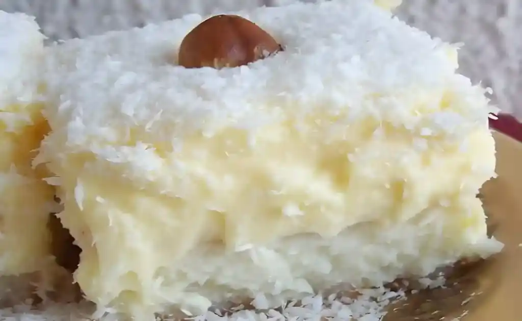 KOKOSKUCHEN MIT VANILLEPUDDING, BLITZSCHNELL & LECKER !