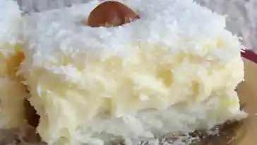 KOKOSKUCHEN MIT VANILLEPUDDING, BLITZSCHNELL & LECKER !