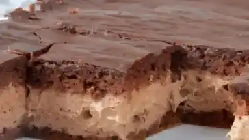 Kakao traum schneller kuchen in wenigen minuten fertig