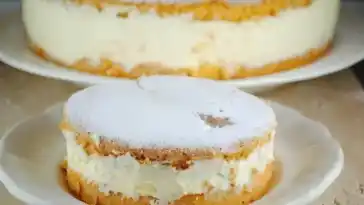 Käsesahne – Torte (Geheimrezept)