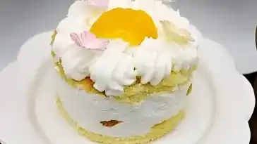 Käsesahnetorte mit Mandarinen