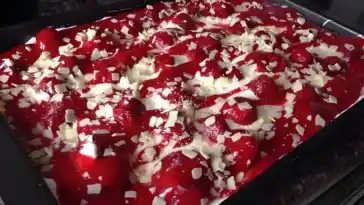 Leckerster nachtisch ever Erdbeer Tiramisu