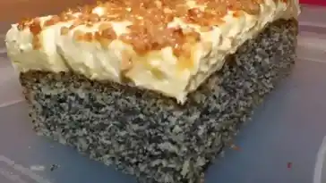 MOHNKUCHEN OHNE BODEN MIT PARADIESCREME UND HASELNUSSKROKANT 4x