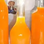 Mandarinen Likör, kommt immer und überall super an!