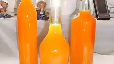 Mandarinen Likör, kommt immer und überall super an!