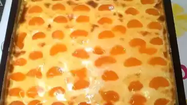Mandarinen Schmand Kuchen