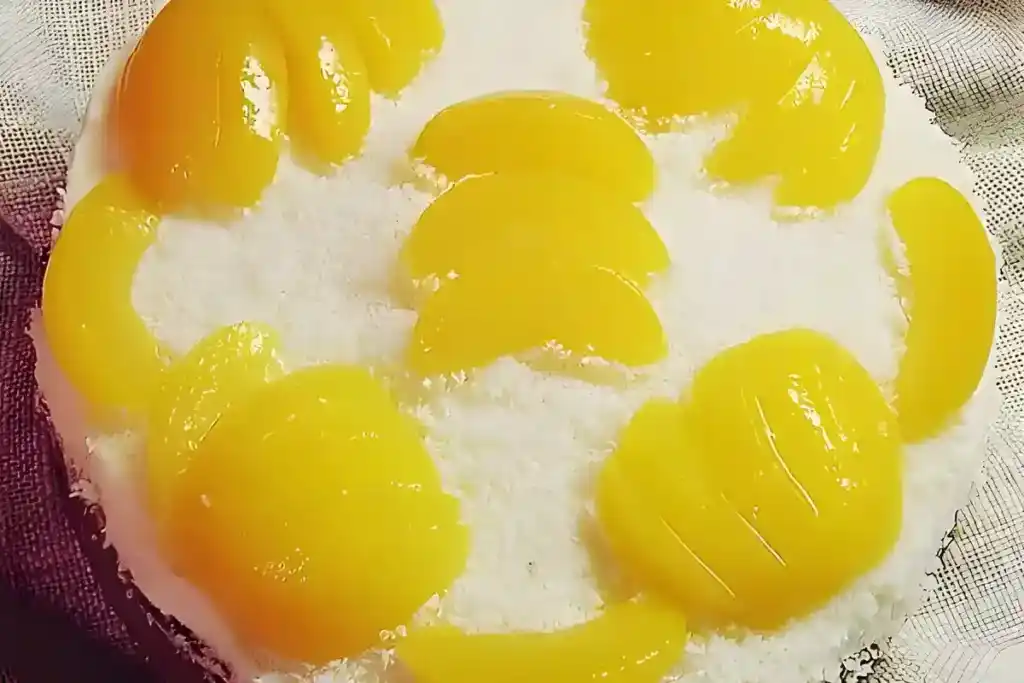 Marillenkuchen mit Topfen – Obers – Creme und Kokosflocken