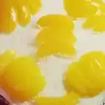 Marillenkuchen mit Topfen – Obers – Creme und Kokosflocken 4x