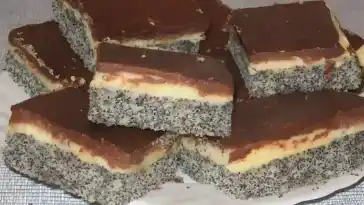 Mohnkuchen mit Vanillecreme und Schoko (leckerer Blechkuchen, schmeckt lecker, gelingt immer)