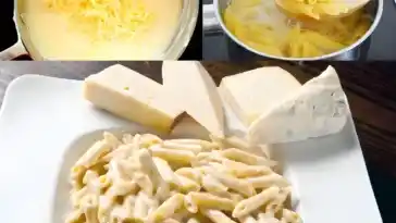 Nudeln in cremiger Knoblauch Kasesauce 4x