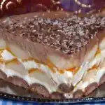 Pfirsich Torte ohne Backen !