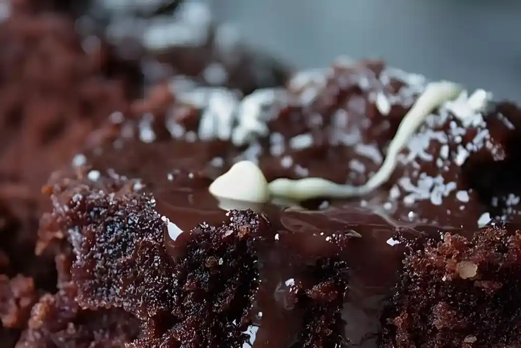 Polnischer Schokokuchen