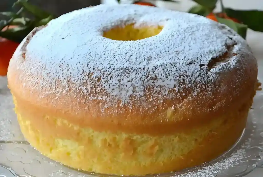 RÜHRKUCHEN MIT MANDARINEN – ZUBEREITUNG NUR 5 MINUTEN