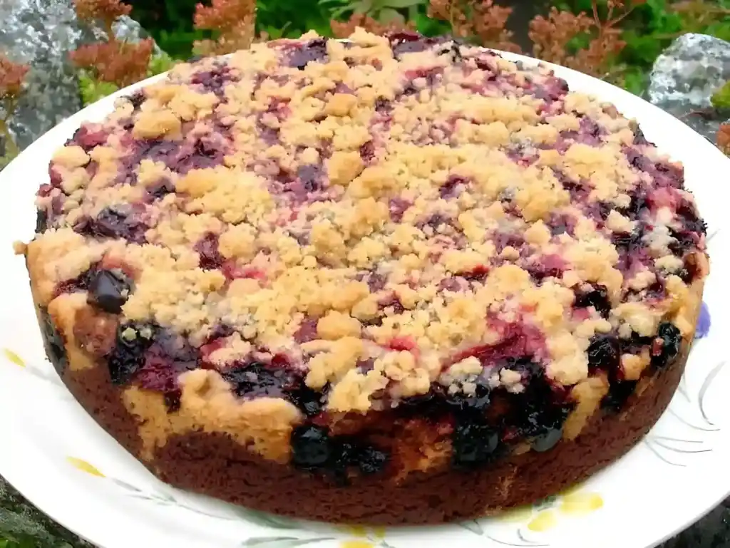 Saftiger Zwetschgenkuchen mit Zimtstreuseln und Quark-Öl-Teig
