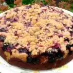 Saftiger Zwetschgenkuchen mit Zimtstreuseln und Quark-Öl-Teig
