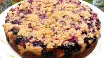 Saftiger Zwetschgenkuchen mit Zimtstreuseln und Quark-Öl-Teig