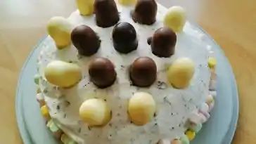 Schokokuss - Torte