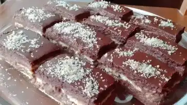 Schokolade Kokos Schnitten ohne Backen 4x