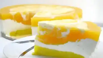 Sonnengrus – Einfacher Quarkkuchen mit Aprikosen 4x