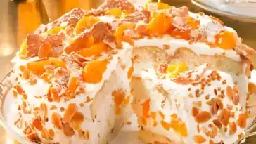 WEIHNACHTS MANDARINEN-TORTE