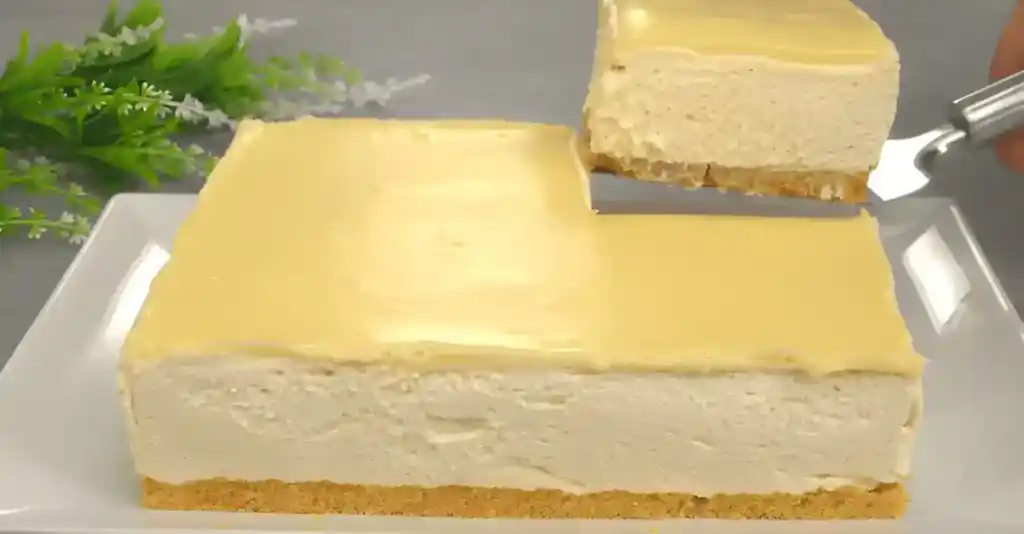 Zitronen Joghurt Torte ohne Schnickschnack !