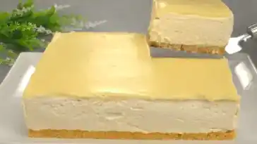 Zitronen Joghurt Torte ohne Schnickschnack !