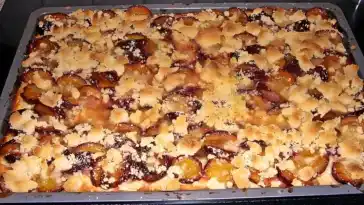 schneller pflaumenkuchen vom blech